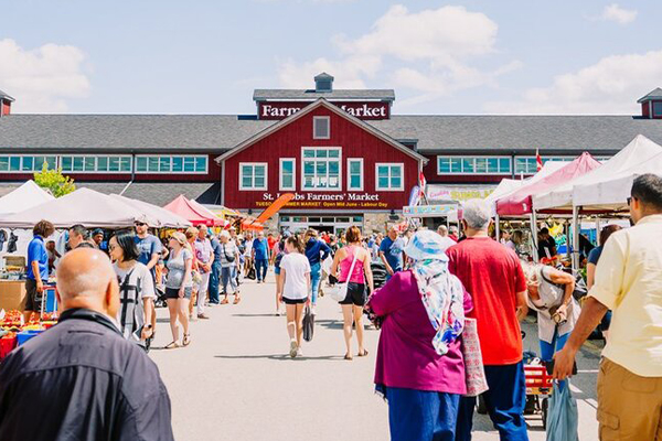 나이아가라 와이너리 + 파머스 마켓 1박2일