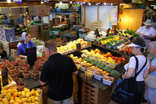 나이아가라 와이너리 + 파머스 마켓 1박2일