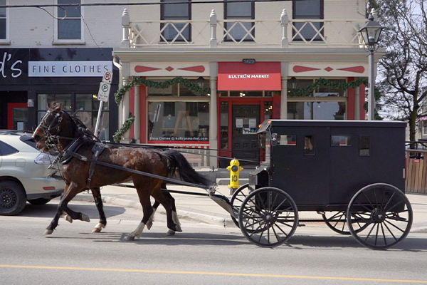 나이아가라 와이너리 + 파머스 마켓 1박2일
